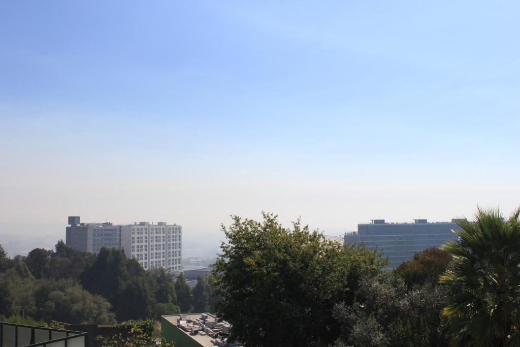 Flamingo Rose room 2